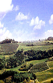 The Chianti hills near Montespertoli (Italy)